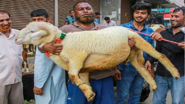 બકરી ઈદનુ મહત્વ બકરી ઈદનુ મહત્વ