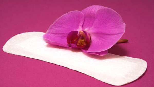 ડિસ્પોઝેબલ પેડ્સ ડિસ્પોઝેબલ પેડ્સ