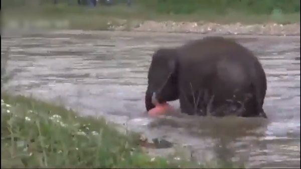 થોમસને માનસિક પિડા માંથી સાજા કરવા માટે તેની સાથે સમય પસાર કર્યો