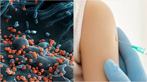 કોને હોઇ શકે છે વધુ જોખમ