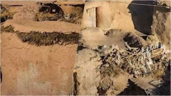 તેહરાનમાં રહેતા વામન તેહરાનમાં રહેતા વામન