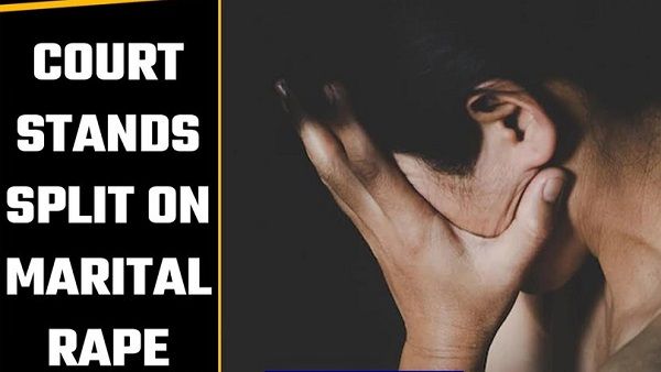 હાઈકોર્ટે શું કહ્યું? હાઈકોર્ટે શું કહ્યું?