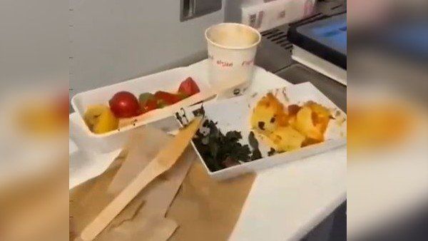 ફ્લાઇટની અંદર ખાવામાં મળ્યુ સાપનુ માથુ, બટાકાની સબ્જીમાં હતી મુંડી, જુઓ વીડિયો