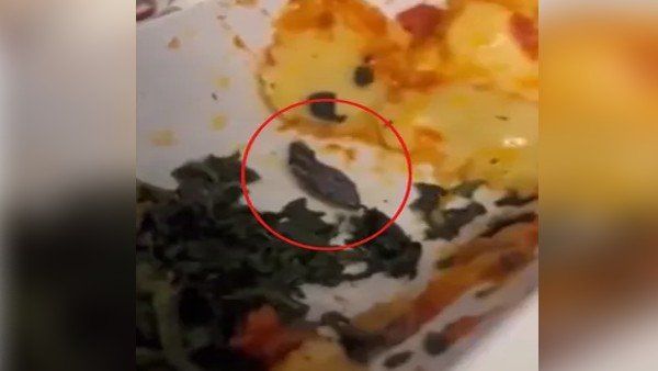 ફ્લાઇટમાં ભોજનમાં સાપનું માથું દેખાયુ