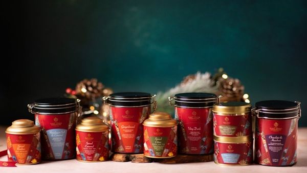 આ કામ માટે કંપનીની કરી હતી સ્થાપના