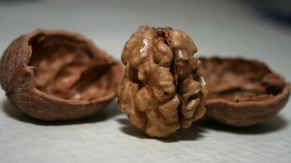 ઓમેગા-3 નો ઉત્તમ સ્ત્રોત ઓમેગા-3 નો ઉત્તમ સ્ત્રોત