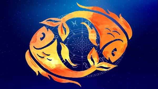 ધનથી મીન