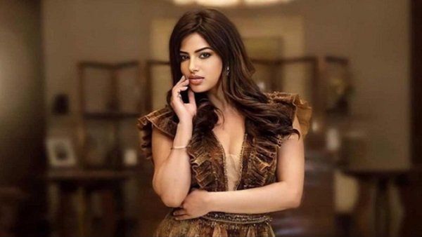 પંજાબી ફિલ્મોમાં કર્યુ કામ