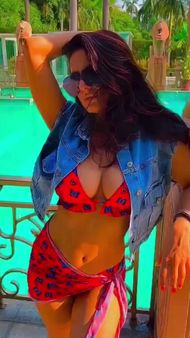 ફોટોમાં અમીષા ગ્લેમરસ લાગી રહી છે ફોટોમાં અમીષા ગ્લેમરસ લાગી રહી છે