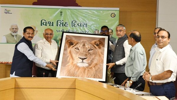 મુખ્યમંત્રી ભૂપેન્દ્ર પટેલ વિશ્વ સિંહ દિવસની ઉજવણીમાં વર્ચ્યુઅલી જોડાયા