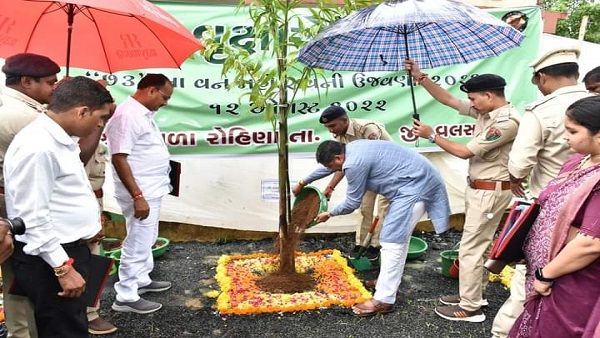 વલસાડના રોહિણા ખાતે જિલ્‍લા કક્ષાનો ૭૩ મો વનમહોત્‍સવ યોજાયો