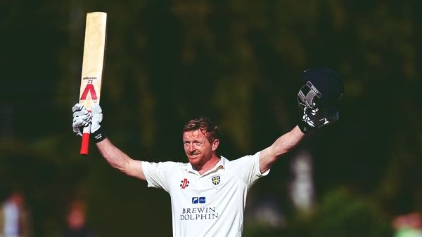 પોલ કોલિંગવુડ