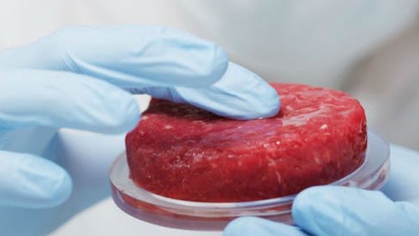 શું કહે છે સંશોધન?