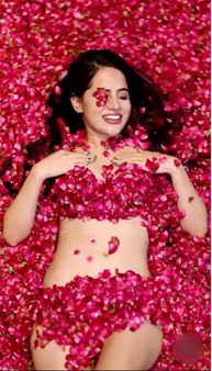 ઉર્ફી જાવેદ ગુલાબના પાંદડામાં સૂતેલી જોવા મળી ઉર્ફી જાવેદ ગુલાબના પાંદડામાં સૂતેલી જોવા મળી