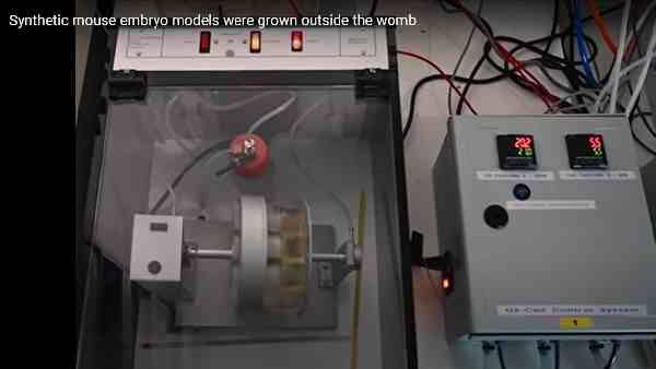 અમે એક મોટો અવરોધ દૂર કર્યો છે - સંશોધક