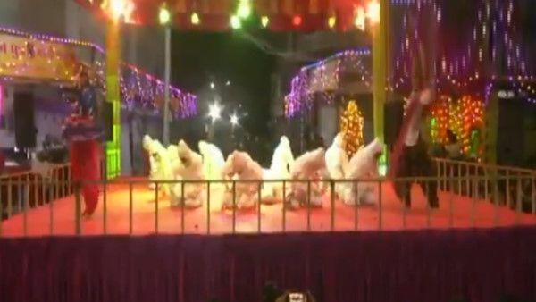 વાયરલ થયો વીડિયો