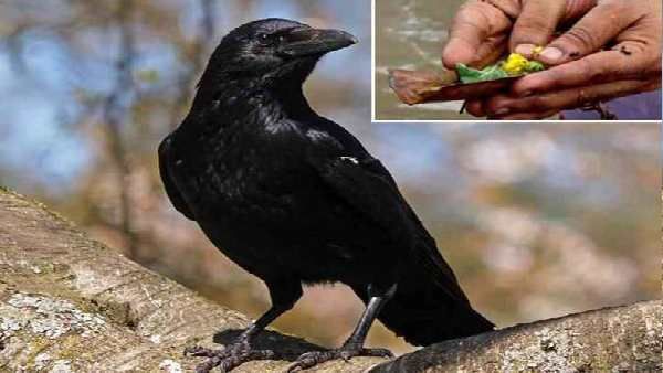 ચામડાની વસ્તુઓ ન પહેરવી