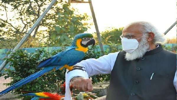 આયુર્વેદ પર ભરોસો