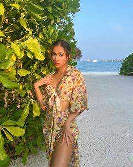 પશ્મિના બોલિવૂડમાં એન્ટ્રી કરશે