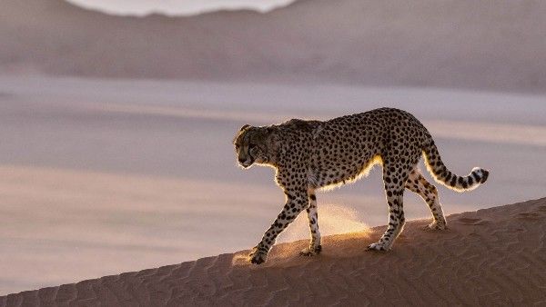 સારી ભૌગોલિક સ્થિતી