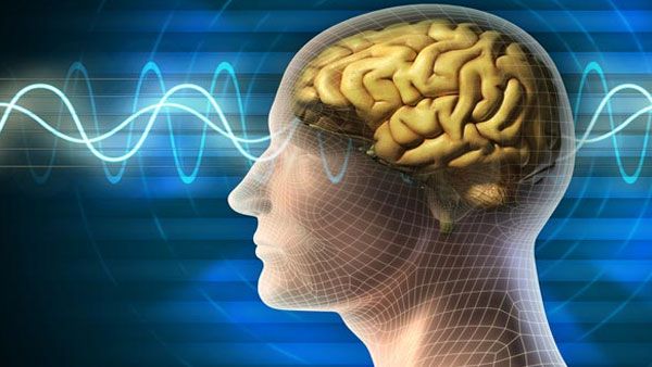 આવા ખોરાકને Mind Diet માં શામેલ કરો