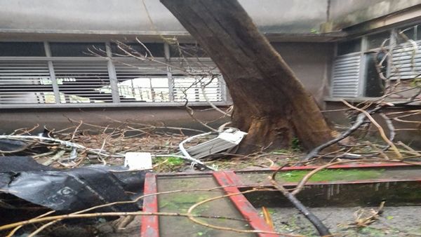 ક્યુબાના સૌથી મહત્વપૂર્ણ તમાકુના ખેતરોમાંના એકને નુકસાન પહોંચાડ્યું ક્યુબાના સૌથી મહત્વપૂર્ણ તમાકુના ખેતરોમાંના એકને નુકસાન પહોંચાડ્યું