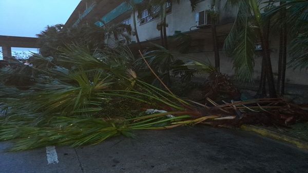 ક્યુબા અને ફ્લોરિડામાં વાવાઝોડાએ મચાવ્યો તરખાટ, સર્જી ભારે તારાજી