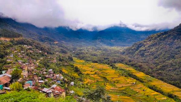 ભારતનું પ્રથમ હરિયાળું ગામ