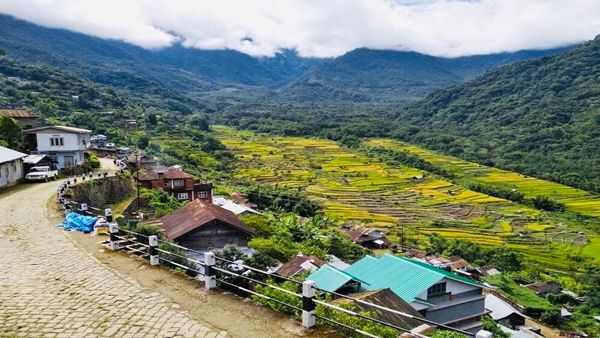 આદિવાસી જૂથોનું રક્ષણ કરવાની ઇચ્છાનું પ્રમાણપત્ર છે