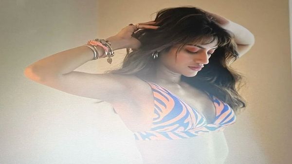 ચાહકો ખૂબ જ પસંદ કરે છે