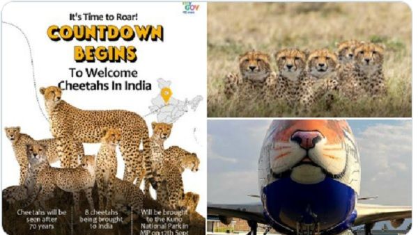 આ કારણે આગમનમાં વિલંબ થયો