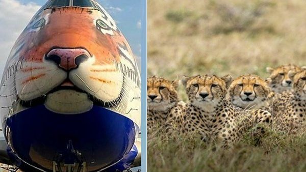 પોસ્ટ શેર કરી જાણકારી અપાઈ