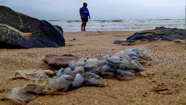 સંશોધન માનવીની ઉંમર વધારવાના તથ્યો સાથે સંબધિત છે