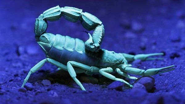 1 લીટરની કિંમત કેટલી?