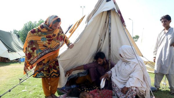 તાત્કાલિક માનવીની મદદની જરૂર