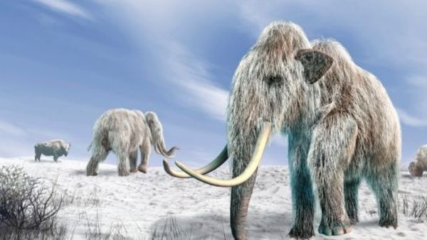 ધરતી પર ફરતા જોવા મળશે હજારો વર્ષો પહેલા લુપ્ત થઈ ચુકેલા પ્રાણીઓ, જાણો શું છે CIAનો ખતરનાક પ્રોજેક્ટ?