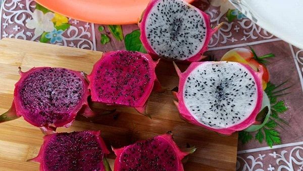 ગુજરાત સરકાર દિલ્હીમાં કમલમ ફળ મહોત્સવનો કરાશે શુભારંભ, કમલમના ઉત્પાદનમાં ૩૫% ગુજરાતનો હિસ્સો