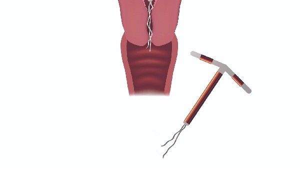 સરકારે શું કહ્યું?