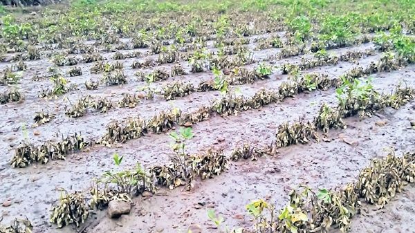 630.34 કરોડના પેકેજની જાહેરાત