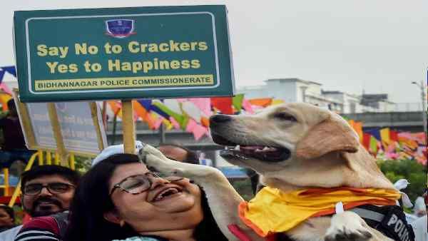 આ દિવાળી પર કડક થઇ સરકાર આ દિવાળી પર કડક થઇ સરકાર