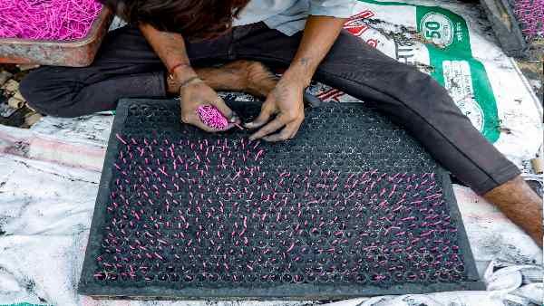 બિહારના ત્રણ શહેરોમાં પૂર્ણ પ્રતિબંધ બિહારના ત્રણ શહેરોમાં પૂર્ણ પ્રતિબંધ