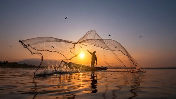 ગુજરાત સરકારે માછીમારો માટે કરી જાહેરાત, ડીઝલ - કેરોસીનના ક્વોટામાં કર્યો વધારો