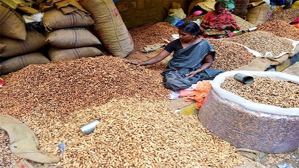 આજથી રાજ્યમાં ટેકાના ભાવે ખરીદીનો પ્રારંભ, આવી હશે સંપુર્ણ પ્રોસેસ!