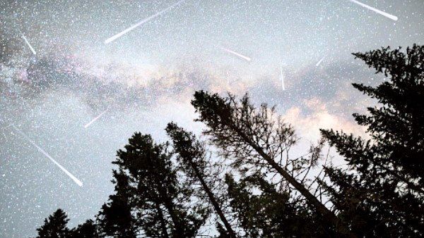 અહીથી જોઇ શકશો લાઇવ