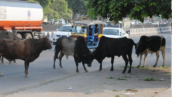 ખૂદ પોતાની સામે જ ફરીયાદ નોંધાવી
