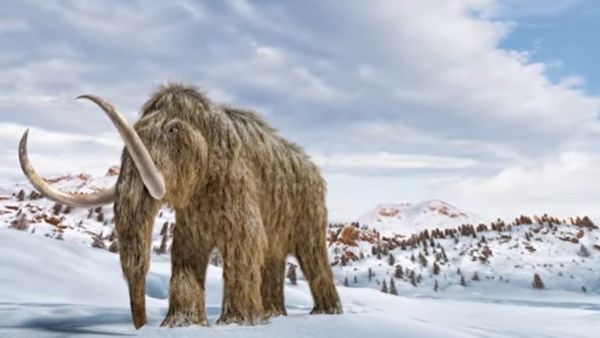 આ પૃથ્વી માટે કેટલું જોખમી?