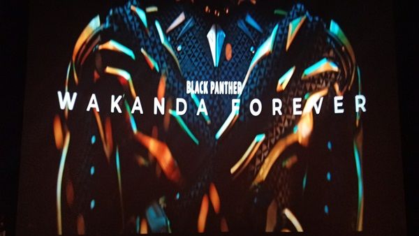 બ્લેક પેન્થર - વાકાંડા ફોરએવર બ્લેક પેન્થર - વાકાંડા ફોરએવર