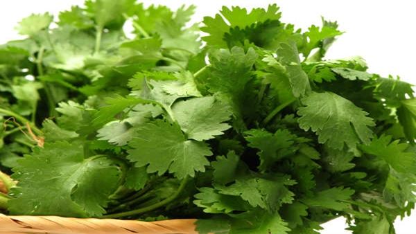 કંટ્રોલ કરે છે બ્લડ શુગર