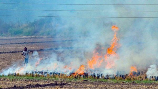 NHRCને મુખ્ચ સચિવે આપ્યો જવાબ, કહ્યું- પંજાબમાં પરાળી સળગાવવાની ઘટનાઓ રોકવામાં લાગી સરકાર