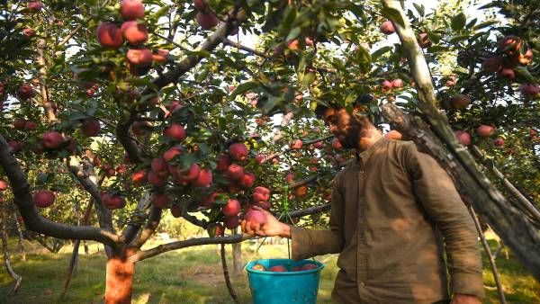 જમ્મુ કાશ્મીરના વિકાસ માટે કર્યું હતુ કામ